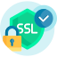 Rapid SSL certificate